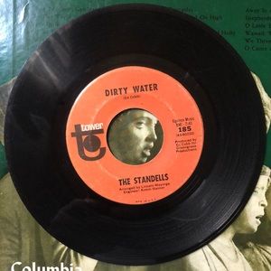The Standells Dirty Water/Rari Vinyl 45 Record